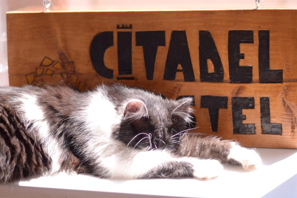 Citadel Hostelアルバ・ユリア エクステリア 写真
